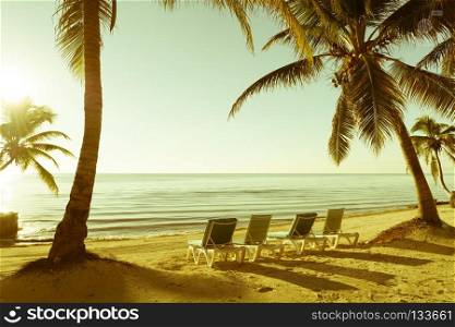 Tropical Beach Retro Background. Palm trees with deckchairs on tropical beach as retro background