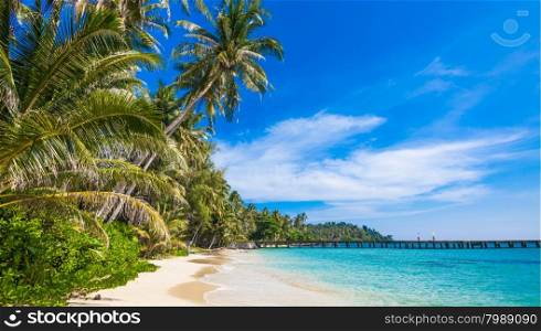 tropical beach. sea and coconut palm. Landscape of paradise tropical island beach