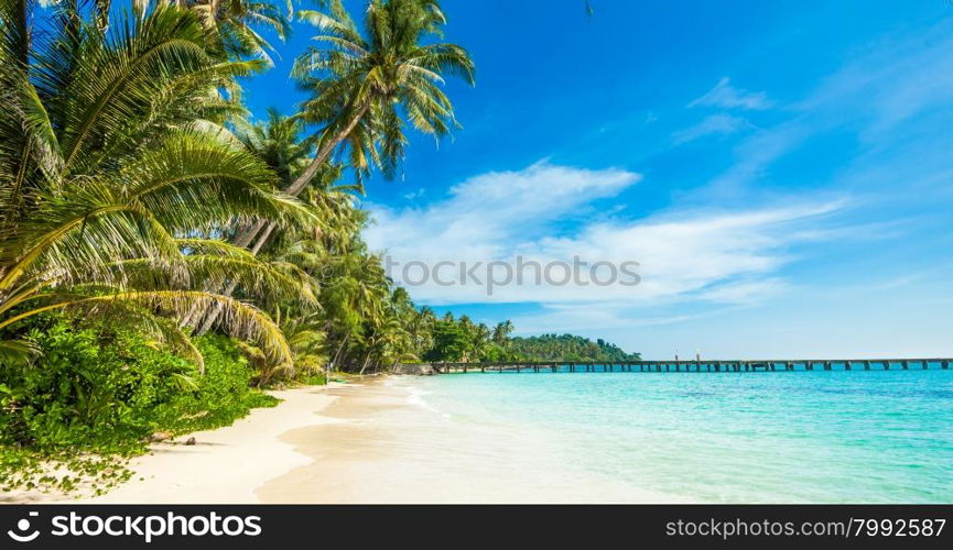 tropical beach. sea and coconut palm. Landscape of paradise tropical island beach