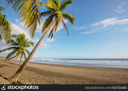 Tropical beach. Serenity on the tropical beach