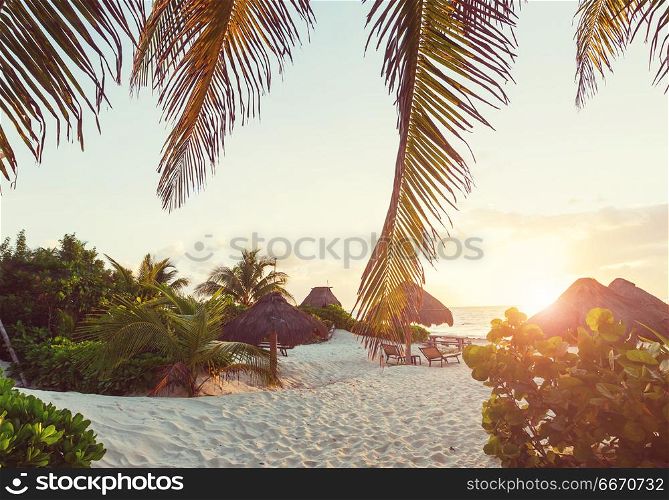 Tropical beach. Serenity on the tropical beach
