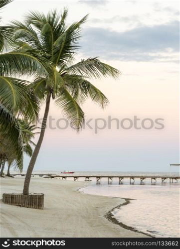 Tropical Beach Solitude. Tropical beach solitude with palmtrees on the coast