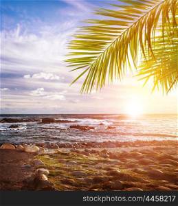 Tropical beach,South Africa, stony coastline, beautiful landscape, exotic nature, summer vacation, travel and tourism concept