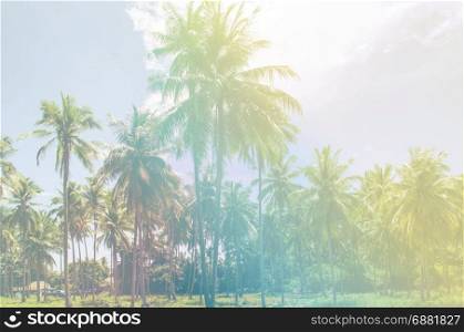 Tropical beach summer background with palm trees with vintage effect.