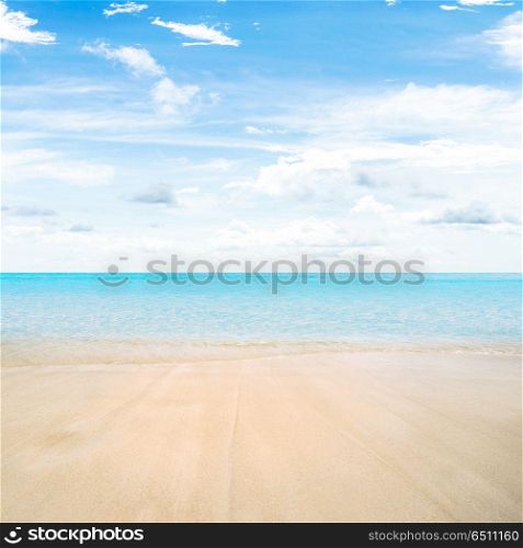 Tropical beach summer. Tropical beach summer nature paradise image background. Tropical beach summer