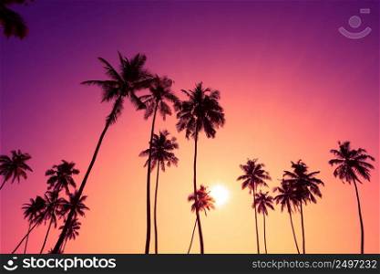 Tropical beach sunset with coconut palm trees silhouettes