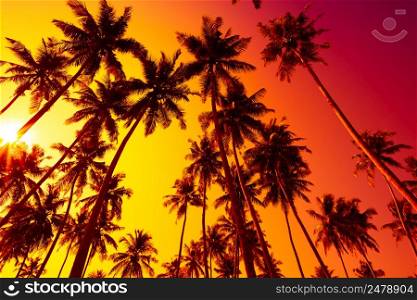 Tropical beach sunset with palm trees silhouettes