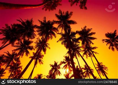 Tropical beach sunset with palm trees silhouettes and shining summer sun