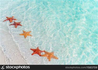 Tropical beach with a beautiful red starfish in turquiose water. Tropical white sand with red starfish in clear water