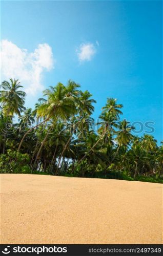 Tropical beach with clean sand at sunny summer day