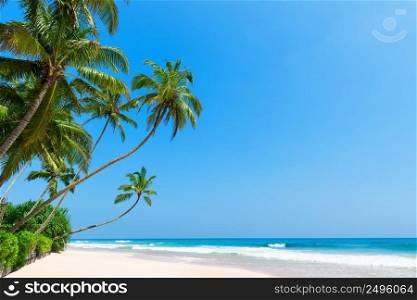 Tropical beach with coconut palm trees. Idyllic clean ocean white sand and clear blue sky and sunny summer day