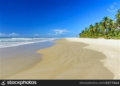 Tropical beach with coconut trees next to the sea and sand in Serra Grande on the coast of Bahia. Tropical beach with coconut trees next to the sea
