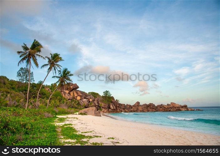 Tropical Beach with palm and blue sky. Seychelles