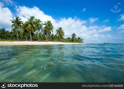 tropical beach with palm trees and blue lagoon
