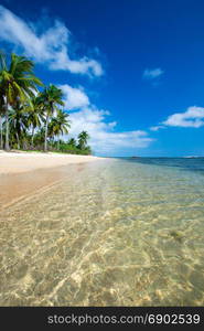 tropical beach with palm trees and blue lagoon