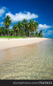 tropical beach with palm trees and blue lagoon