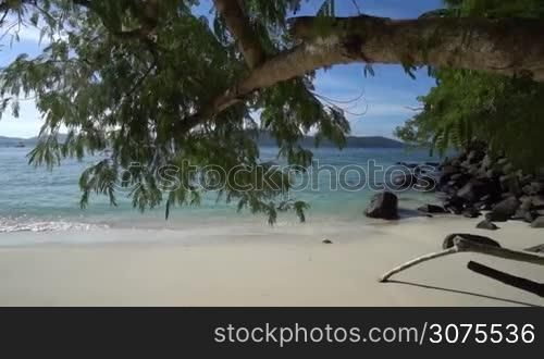 Tropical beach with rocks and tree