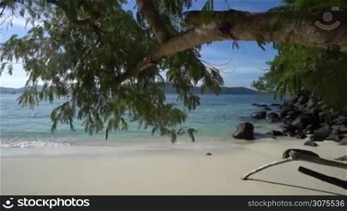 Tropical beach with rocks and tree