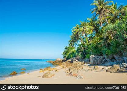 Tropical beach with rocks, palm trees, blue sea and white sand