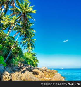 Tropical beach with rocks, palm trees, blue sea and white sand