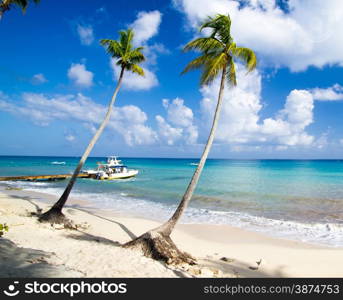 Tropical beach with sea wave on the sand and palm trees