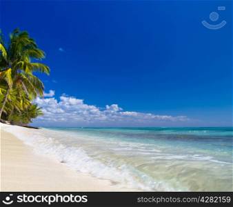 Tropical beach with sea wave on the sand and palm trees