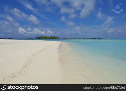 tropical beach with white sand at summer