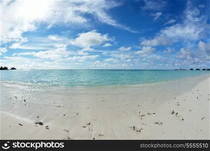 tropical beach with white sand at summer