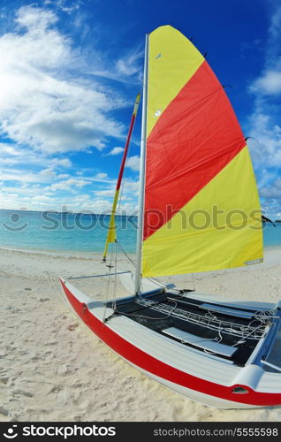 tropical beach with white sand at summer