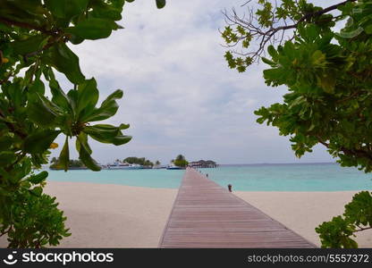 tropical beach with white sand at summer