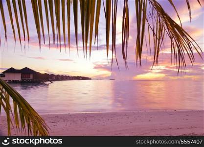 tropical beach with white sand at summer