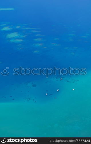 tropical beach with white sand at summer