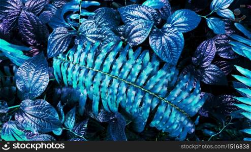 tropical blue leaf glow in the dark background. High contrast