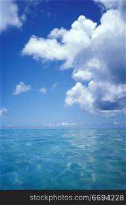 Tropical Blue Ocean