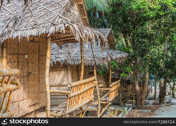 Tropical Bungalows made from Bamboo. Coconuts on the ground, growing new Palmtrees