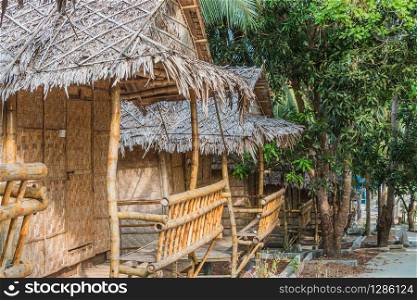 Tropical Bungalows made from Bamboo. Coconuts on the ground, growing new Palmtrees