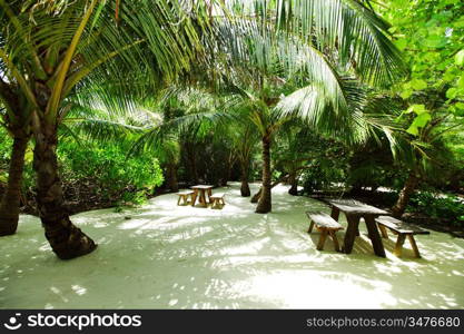 tropical cafe on the background of a palm trees and sky and sea