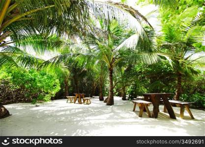 tropical cafe on the background of a palm trees and sky and sea