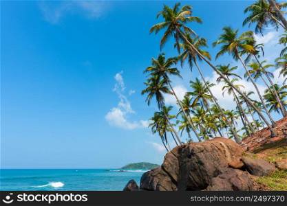 Tropical coast at remote island with palm trees on rocks