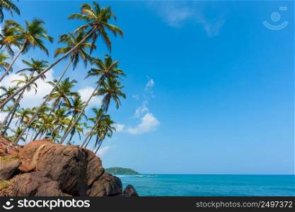 Tropical coast at remote island with palm trees on rocks at sunny day