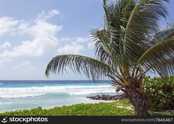 Tropical coast close to Bridgetown, Barbados, Caribbean