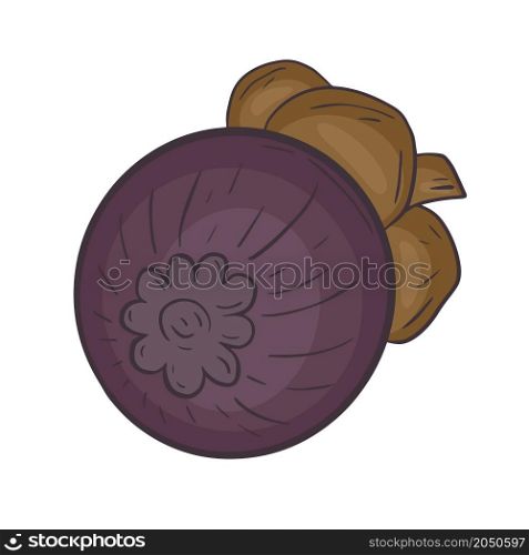 Tropical exotic fruit mangosteen isolated vector illustration. Delicious organic food. Tropical exotic fruit mangosteen isolated vector illustration