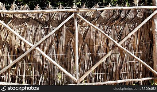 tropical fence with palm tree leaves and wood trunks