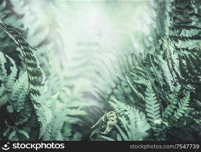 Tropical fern background of jungle nature