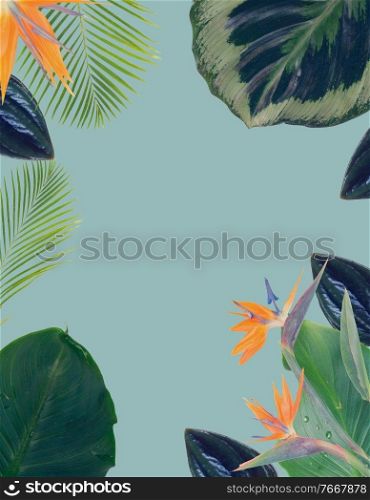 tropical flowers and leaves - border of fresh strelizia bird of paradize flowers and exotic palm leaves on blue backgroundotic palm leaves on blue background. orange hibiscus flower