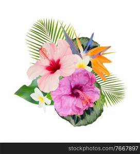 tropical flowers and leaves - fresh hibiscus and frangipani flowers and exotic palm leaves isolated on white background. orange hibiscus flower
