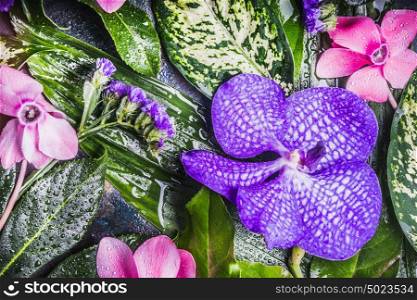 Tropical flowers, orchid and wet green leaves arrangement , nature background, top view