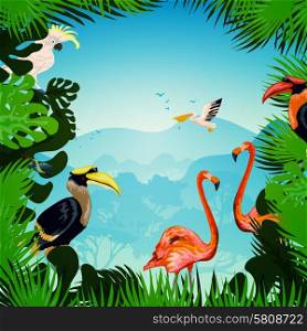 Tropical forest background with exotic plants and wild birds vector illustration. Tropical Forest Background