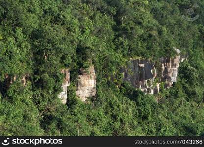 Tropical forest landscape view, jungle site of Asia