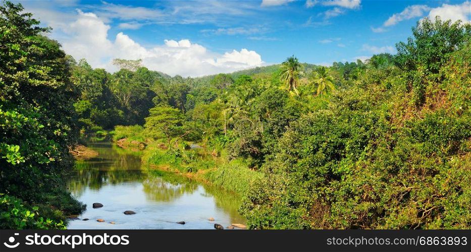 Tropical forest on banks of river and blue cloudy sky